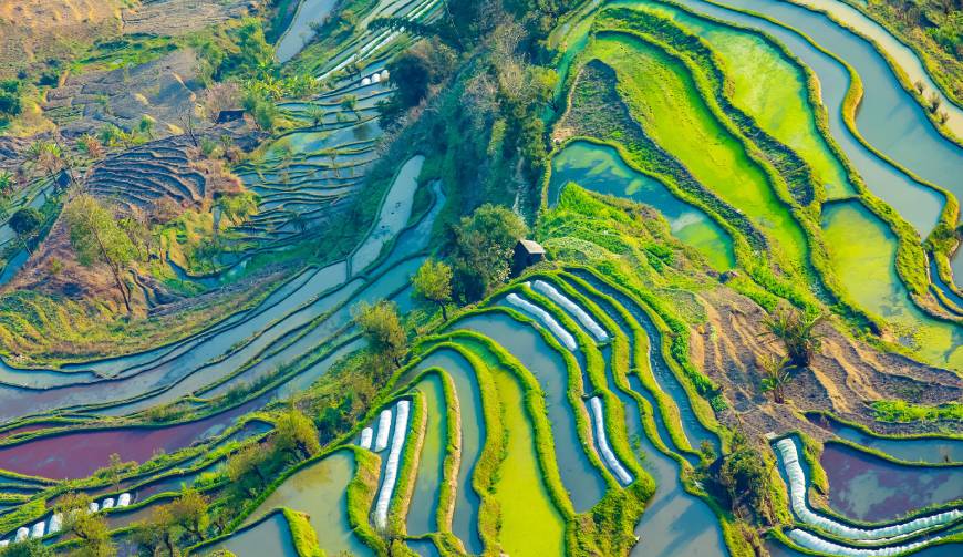 宝妈必备神器：西夏区产品视频拍摄轻松育儿好帮手