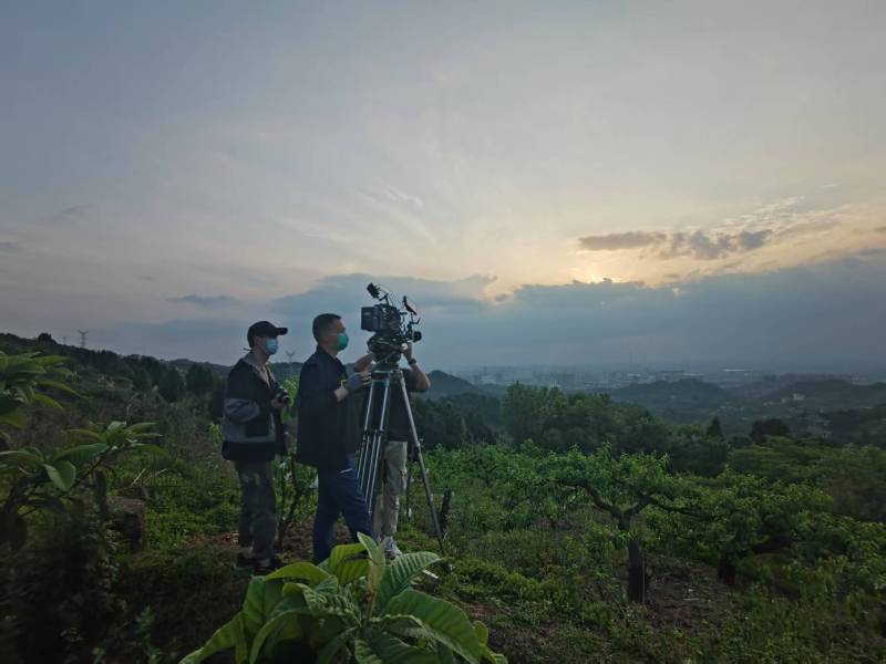创意破圈！西夏区电商产品宣传视频用故事化叙事引爆流量
