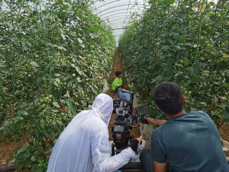 西夏区产品宣传视频拍摄公司进阶指南，助力品牌抢占传播高地